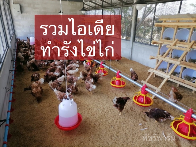 ไอเดีย ทำรังไข่ไก่ รังฟักไข่ สวยๆ